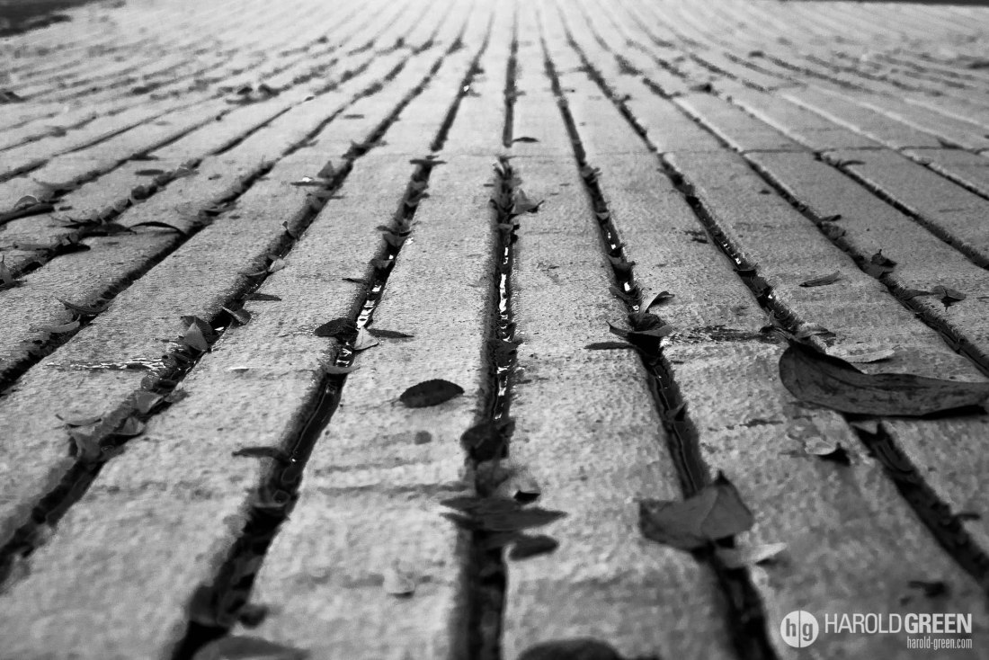 "Autumn" Houston, TX © 2014 Harold Green.