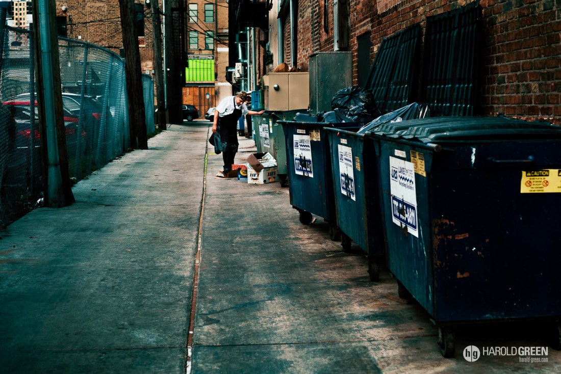 "Alleyway" Chicago © 2015 Harold Green.